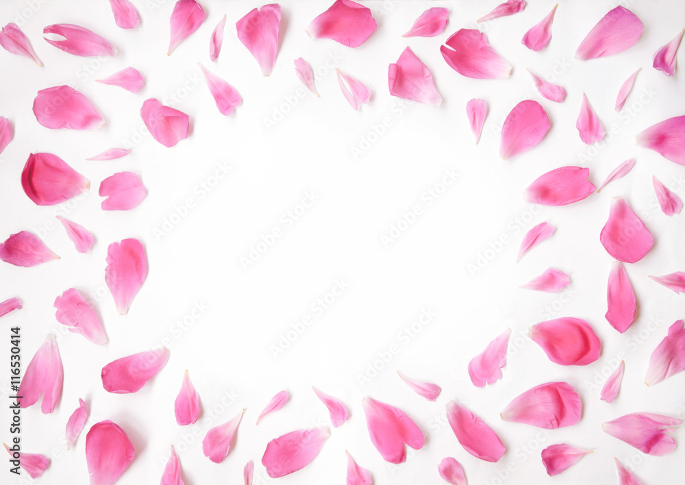 Pink petals of peony flowers lying on a white background Pink petals of peony flowers lying on a white background