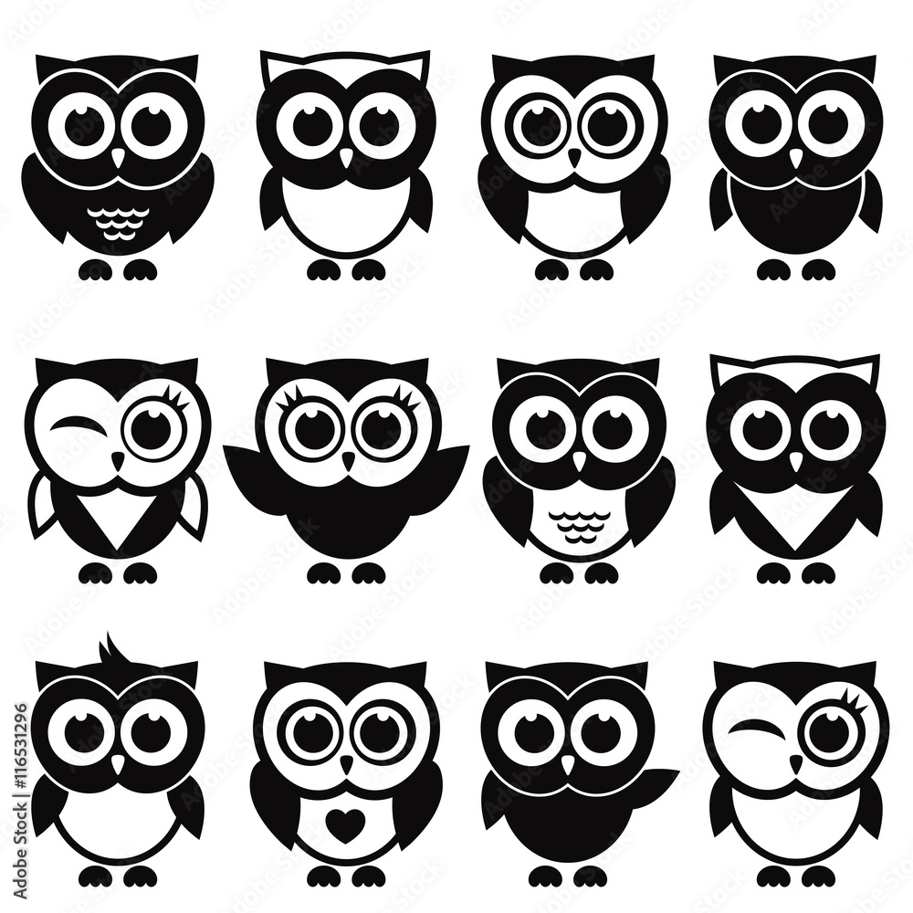 Funny black and white owls and owlets Funny black and white owls and owlets