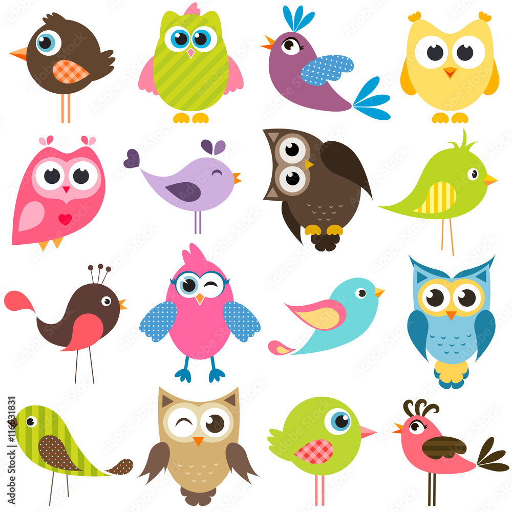 set of funny colorful birds