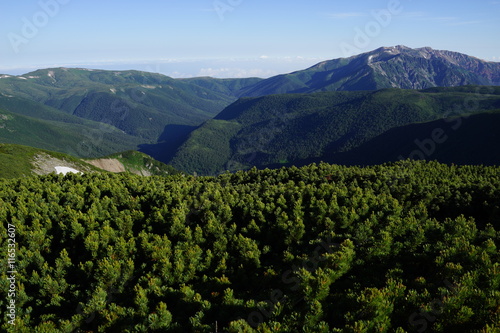 双六岳 山頂 眺望 北アルプス 登山 山道 空 絶景 雲海