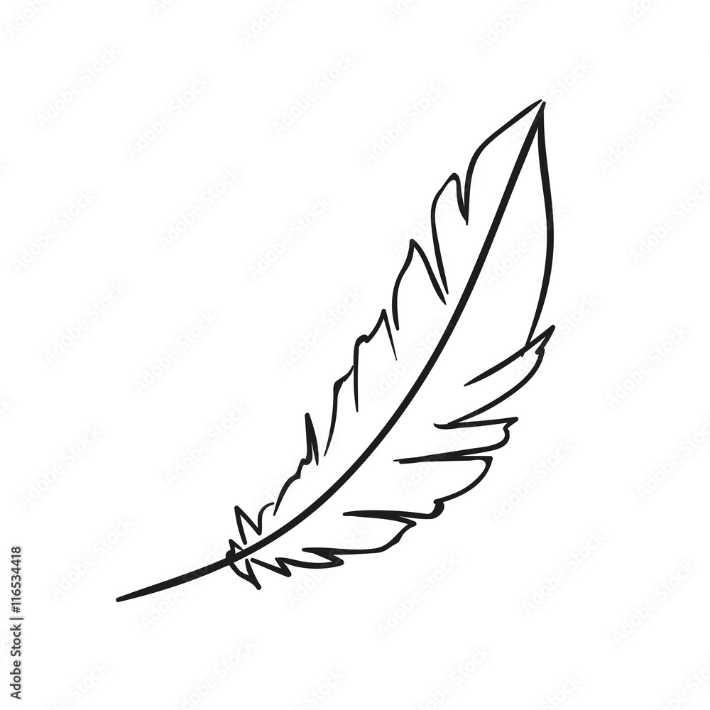 Vector Illustration of a Hand Drawn Feather Doodle Stock Vector | Adobe ...