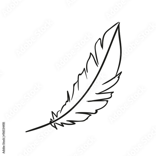 Vector Illustration of a Hand Drawn Feather Doodle