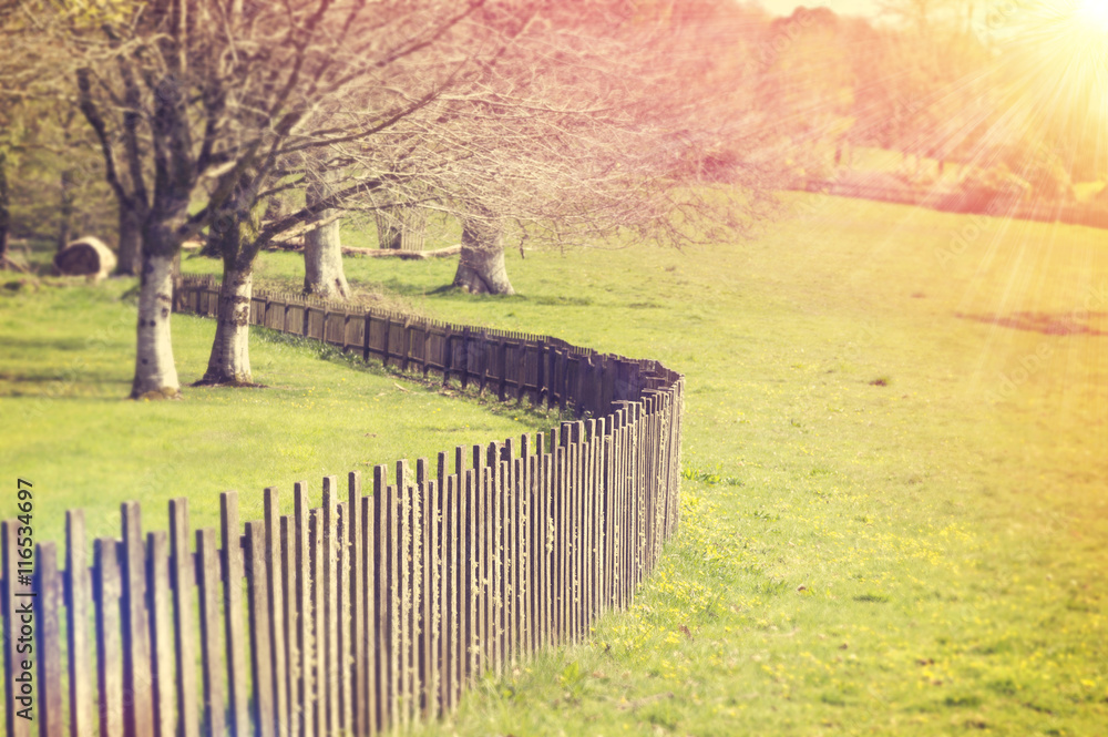 Fototapeta premium Wooden Fence