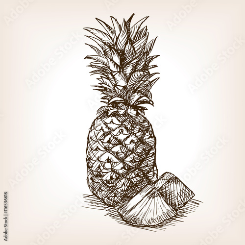Pineapple fruit hand drawn sketch style vector