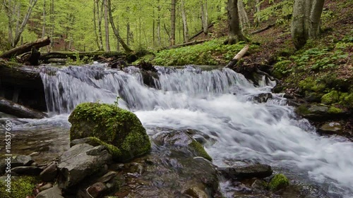 Forest stream running over mossy rocks
