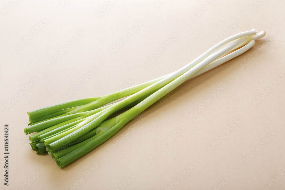 長葱 Green Onion 長葱 Green Onion