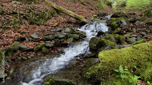 Mountain stream with stones close up in wood