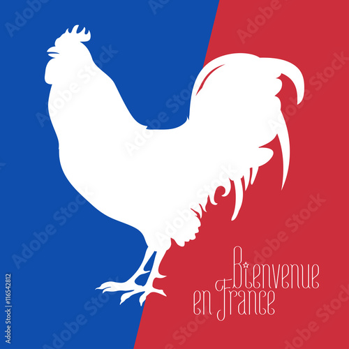 France vector illustration with French flag colors and cock