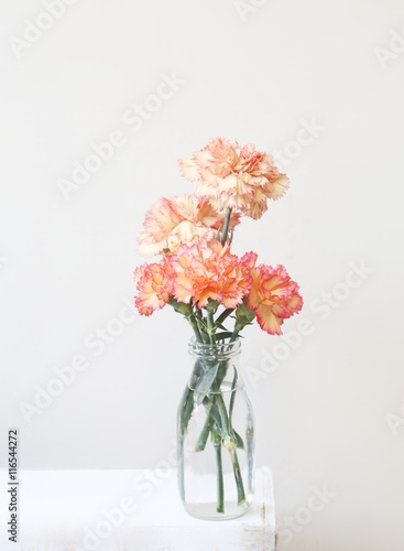 Carnations