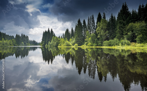 Fototapeta Naklejka Na Ścianę i Meble -  lake in a forest,Sumava - national park, Czech republic, Europe