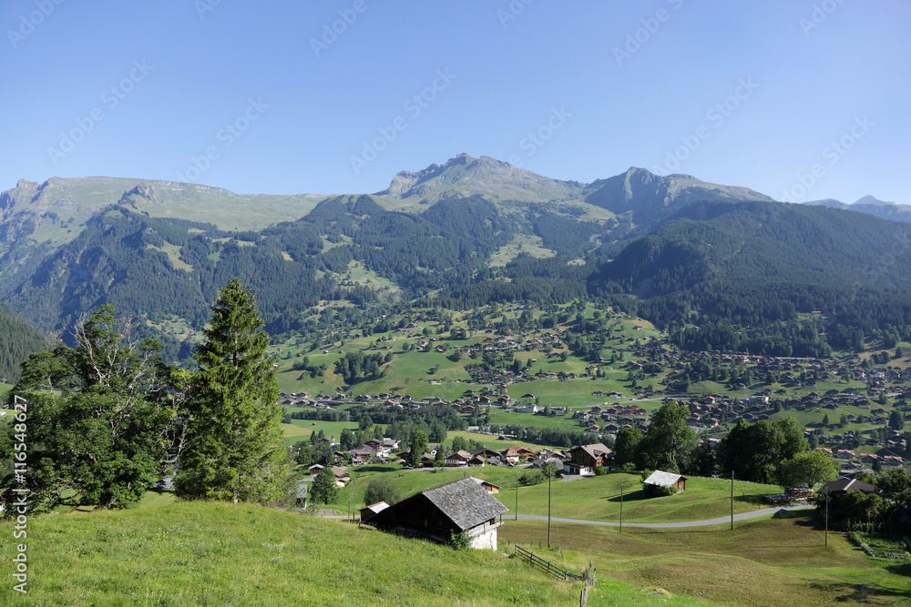 Village in the beautiful landscape of Alps near Grindelwald