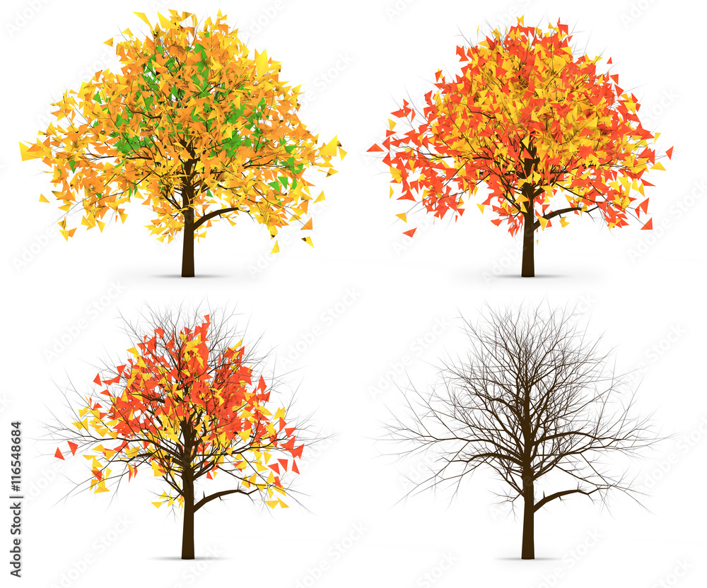 Four Autumn Trees Leaves Color Variation