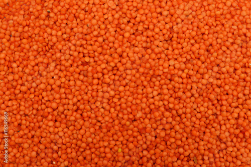red lentil seeds texture