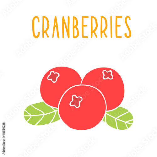 Cranberries superfood isolated on white.