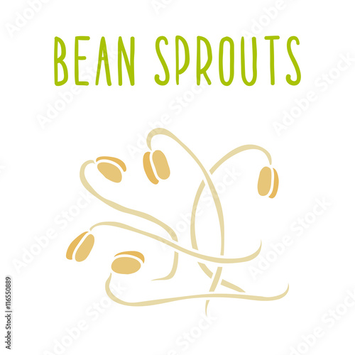 Bean sprouts isolated on white.