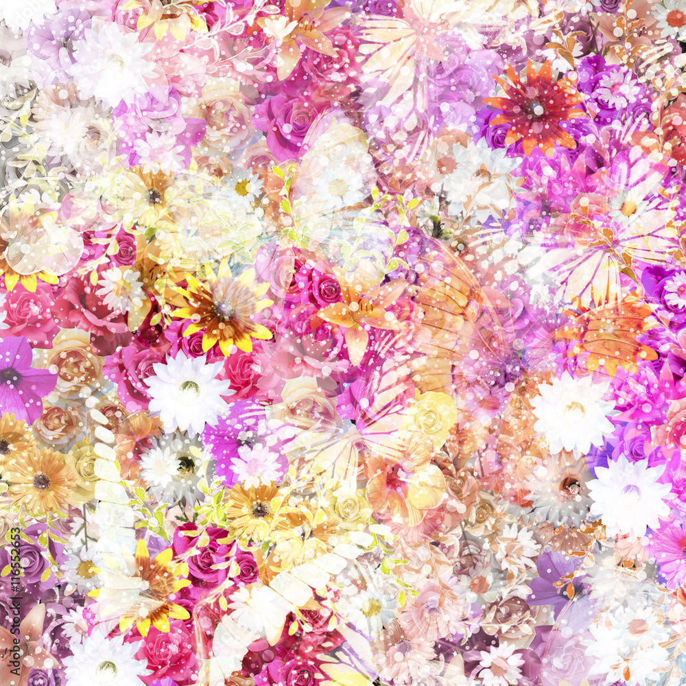 Colorful flowers background