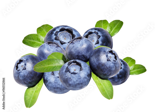 blueberries isolated  close-up