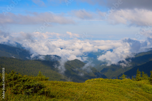 Clouds over the mountains covered with pine forest