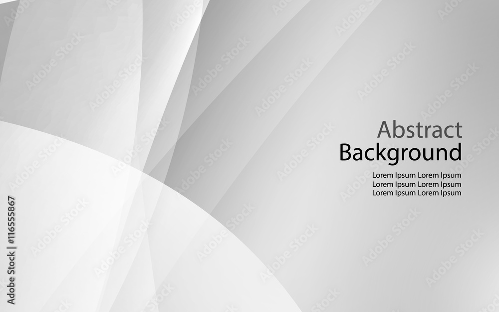 Obraz premium gray and white black color background abstract art vector