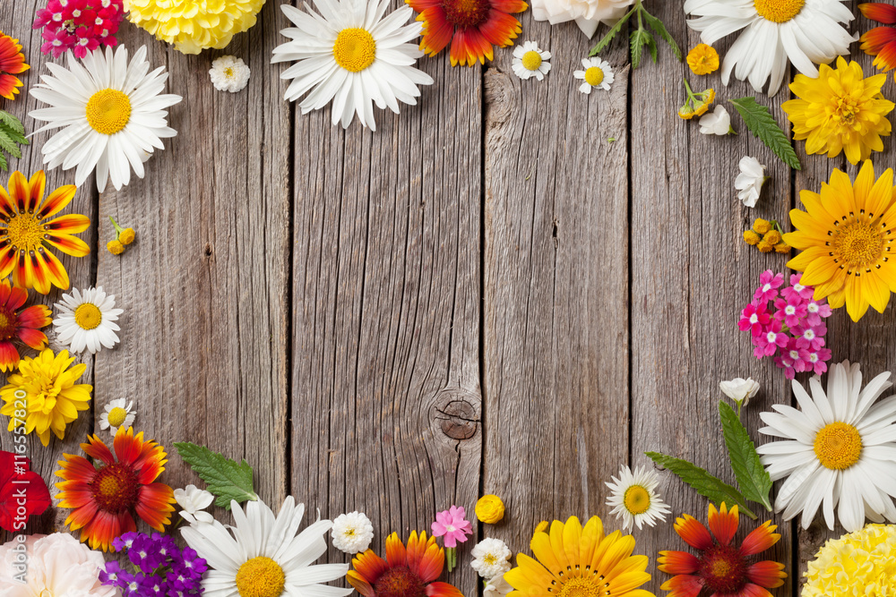 Fototapeta premium Garden flowers over wood