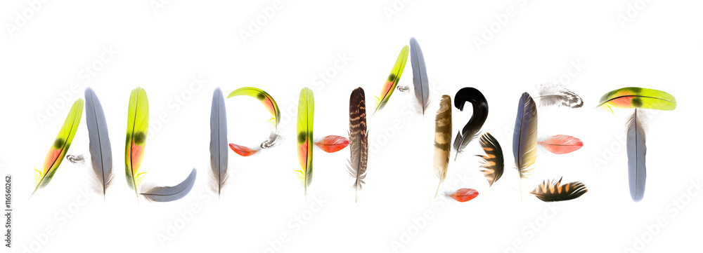 alphabet alphabet