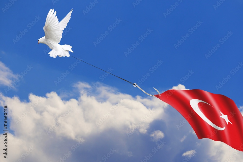 Friede für dieTürkei, Friedenstaube angelt sich Türkei Flagge  Stock-Illustration