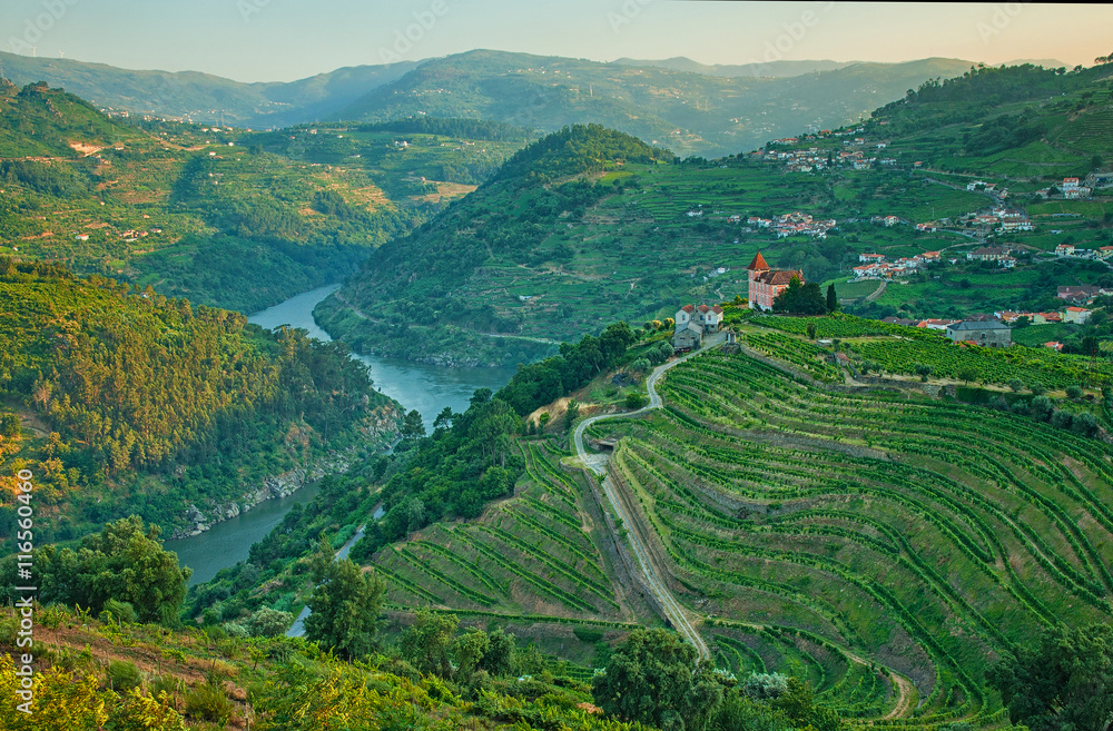 Vineyard hills in the river Douro valley, Portugal