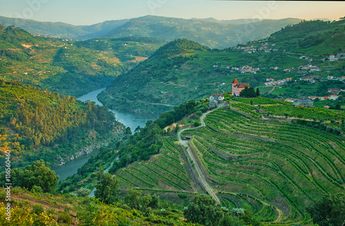 Vineyard hills in the river Douro valley, Portugal photo