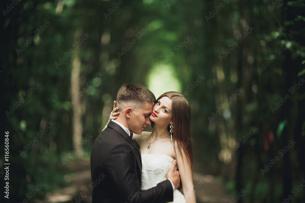 Romantic newlywed couple kissing in pine tree forest