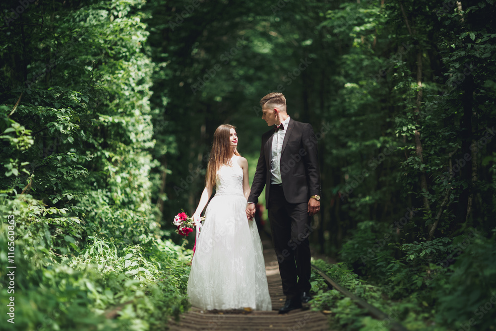 Romantic newlywed couple kissing in pine tree forest