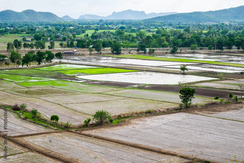 Rice field with mountain arid dry at wat tham sua area, kanchanaburi