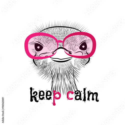 head of a hipster ostrich