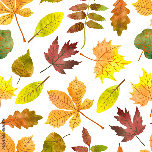 Watercolor autumn leaves seamless pattern. Vector colorful fall background with maple, chestnut, rowan, poplar leaves. 