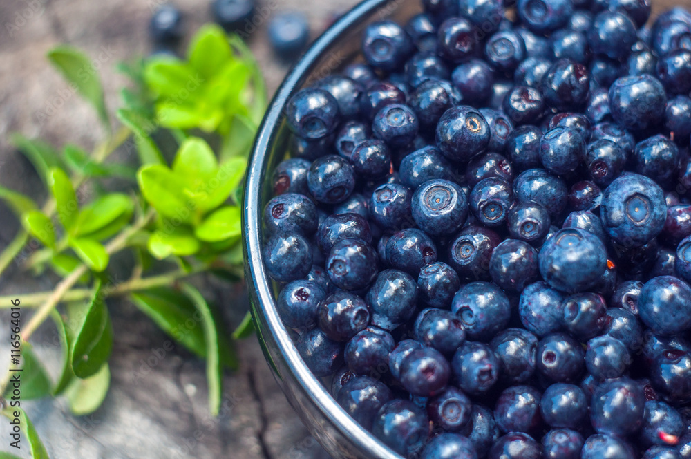 bilberry in a bowl on an old wooden background bilberry in a bowl on an old wooden background