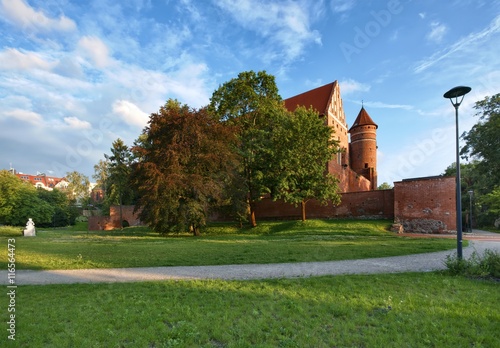 Castle in Olsztyn