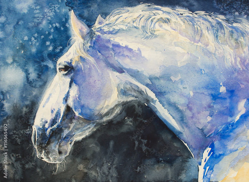 Naklejka Malowanie portretu konia lipizzaner. Zdjęcie wykonane akwarelami