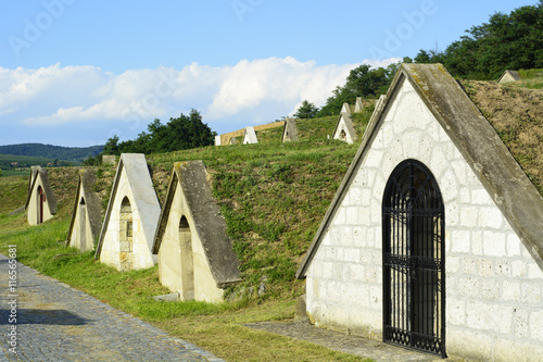 Cuadro en lienzo Traditional wine cellars in Tokaj region - Hercegkut Sarospatak