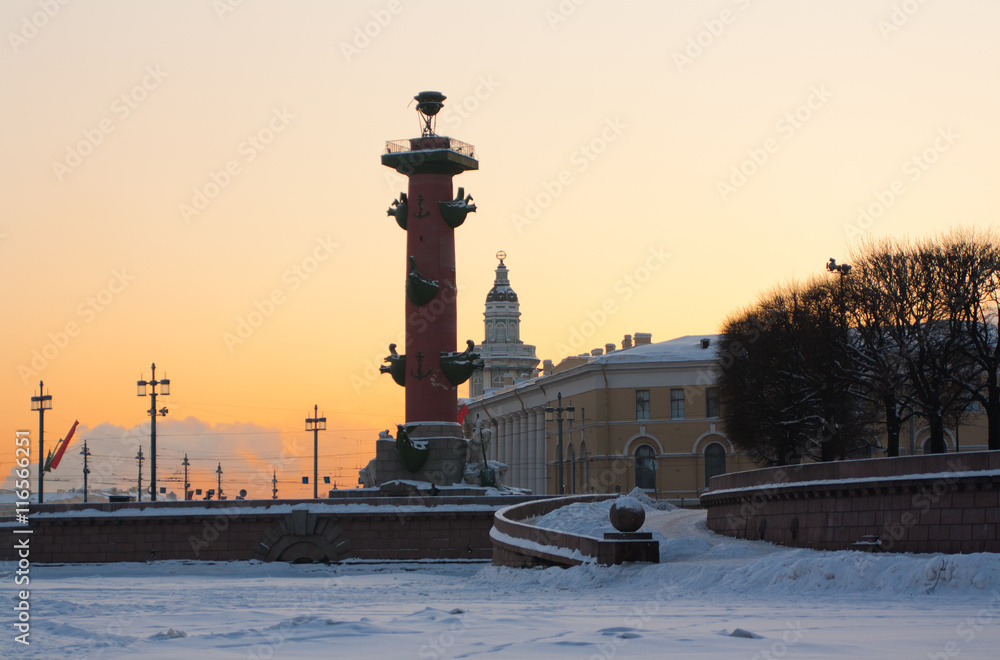 Russia. Saint Petersburg. Winter. the Cabinet of curiosities