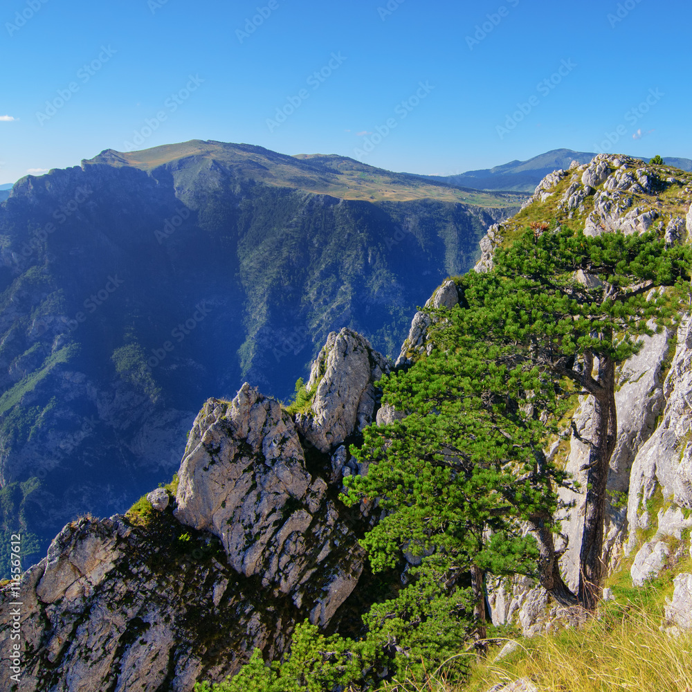 Fototapeta premium Wonderful view to mountains in the national park Durmitor. Montenegro Balkans Europe. Beauty world. Autumn Landscape in a blue sky