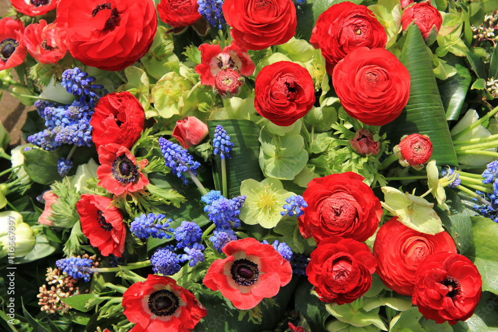 Spring flowers in red and blue