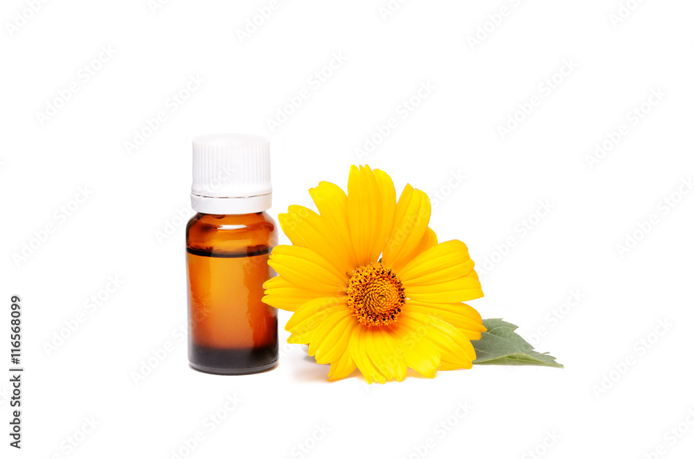 Dark cosmetic bottle of aromatic oil for herbal medicine with calendula flower isolated on white. Marigold extract. Dark cosmetic bottle of aromatic oil for herbal medicine with calendula flower isolated on white. Marigold extract.