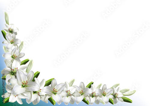Fototapeta Naklejka Na Ścianę i Meble -  Greeting card, or wedding invitation, with white lilies.