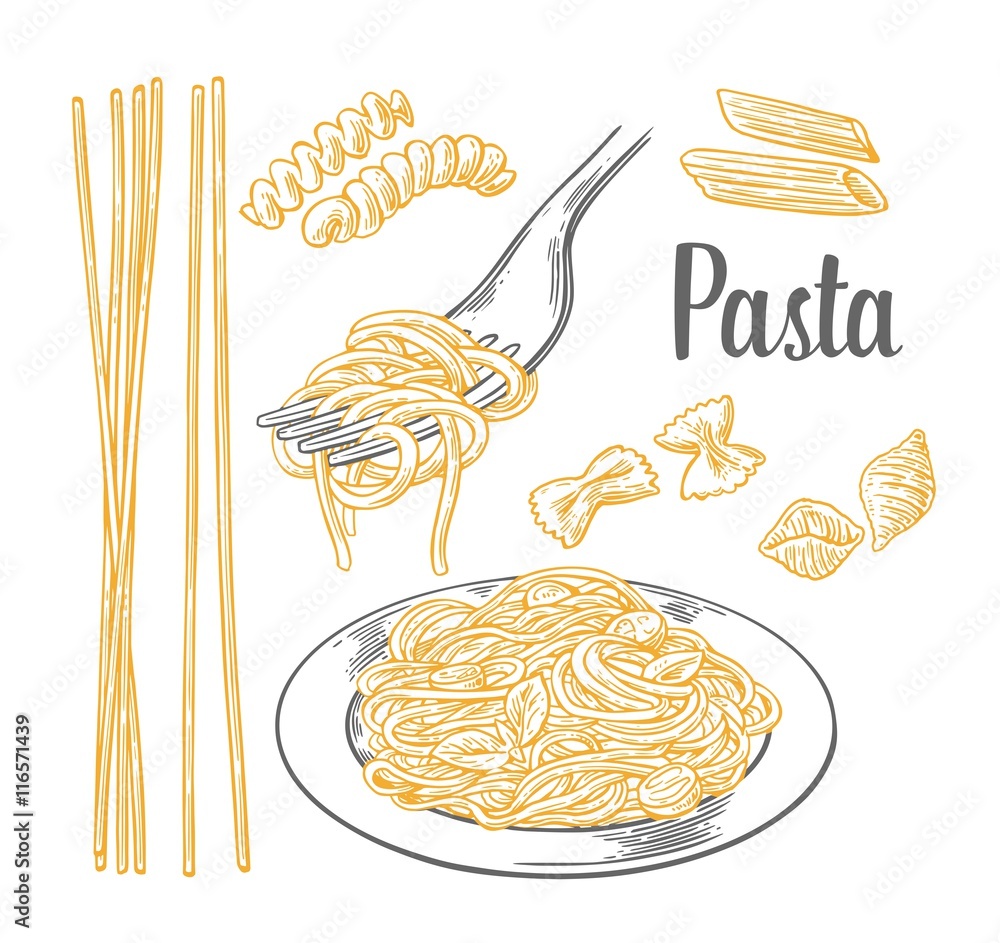 Set pasta - farfalle, conchiglie, penne, fusilli and spaghetti on fork. - obrazy, fototapety, plakaty 
