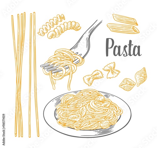 Set pasta - farfalle, conchiglie, penne, fusilli and spaghetti on fork.