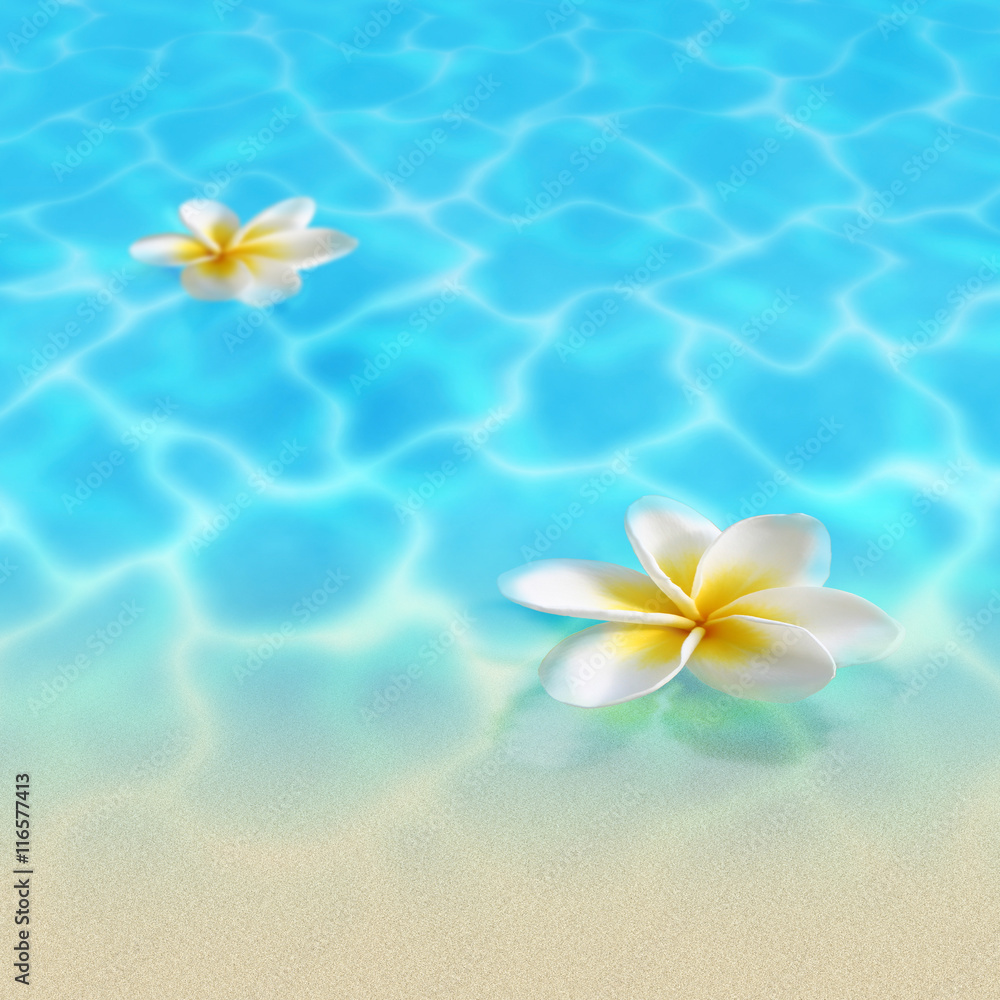 夏の海辺とプルメリア Stock イラスト Adobe Stock