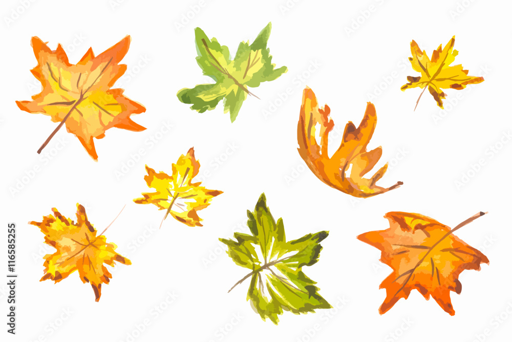 Fototapeta premium Watercolor hand drawn fall leaves set