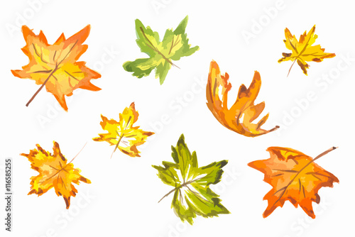 Watercolor hand drawn fall leaves set