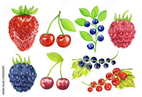 Watercolor berries set on white background. Fresh healthy set of different kind of berries as strawberry, blackberry, cherry and more.