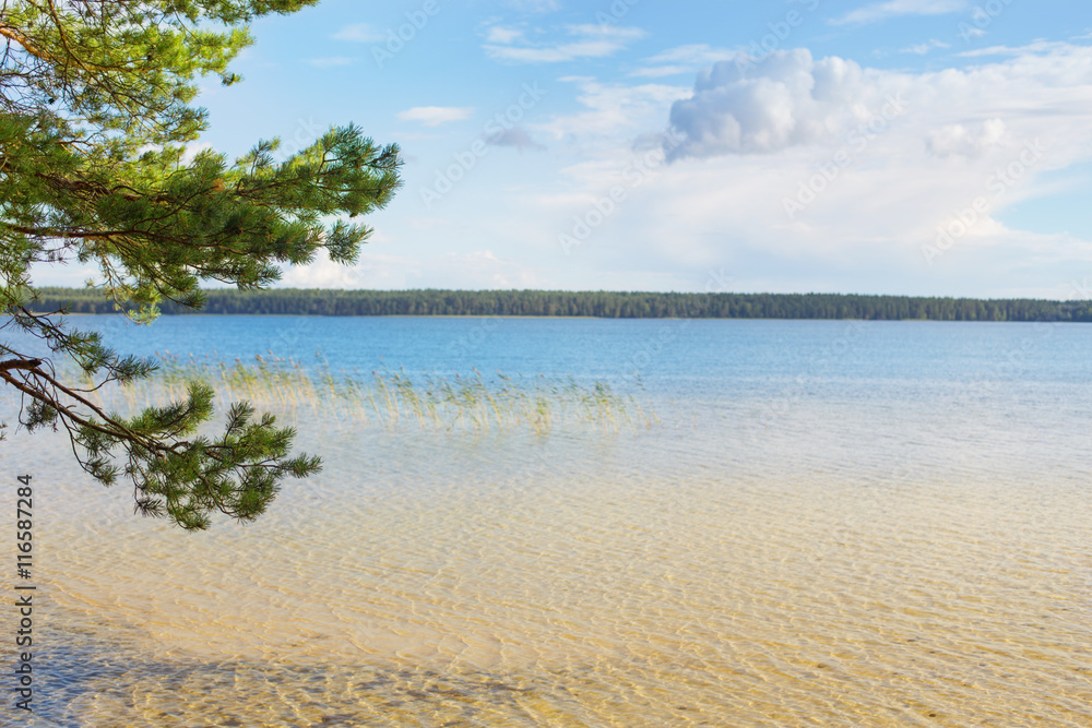 Beautiful lake in Belarus