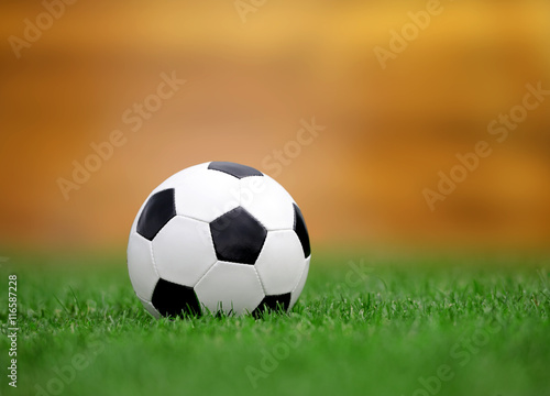 Soccer ball on green grass © byrdyak